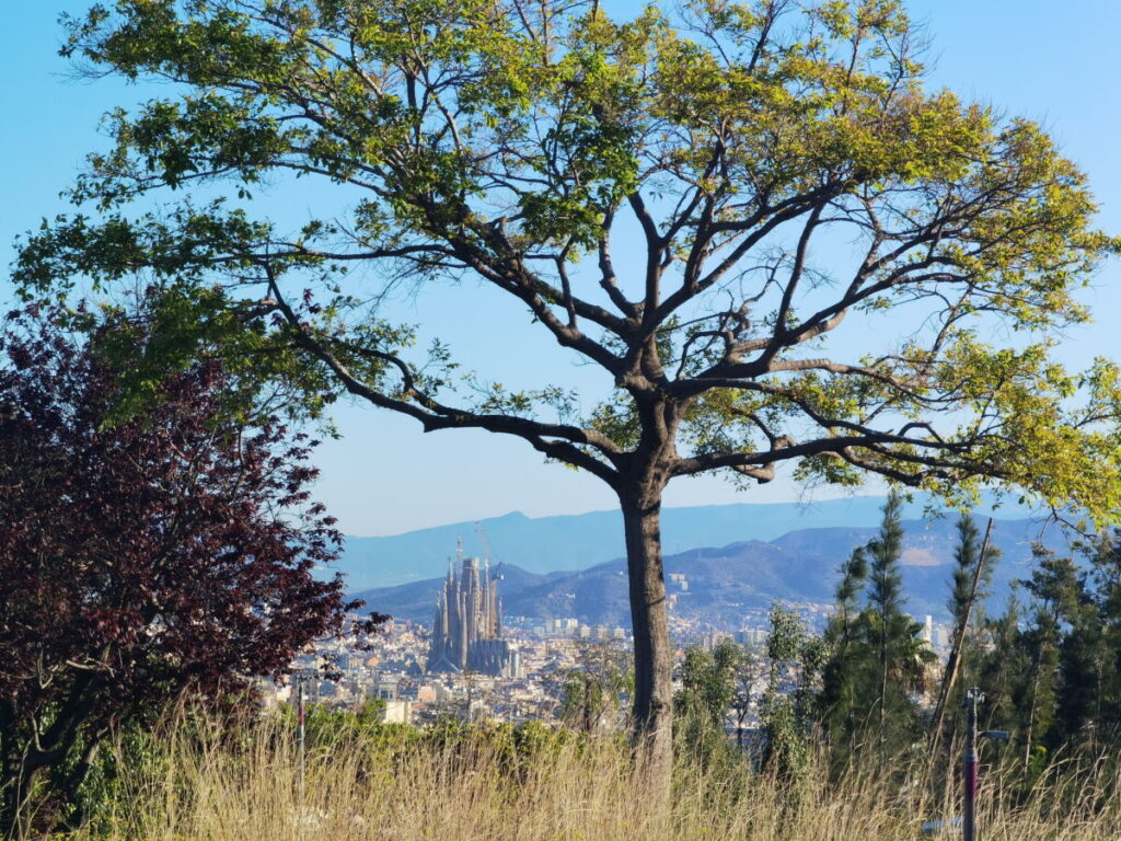 Montjuic Ausblick aus den Park Petra Kelly auf die Sagrada Familia in Barcelona